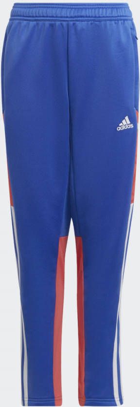 adidas Condivo 22 Predator Broek