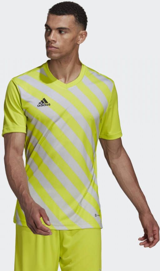Adidas Entrada 22 Graphic Heren Jerseys/Replicas