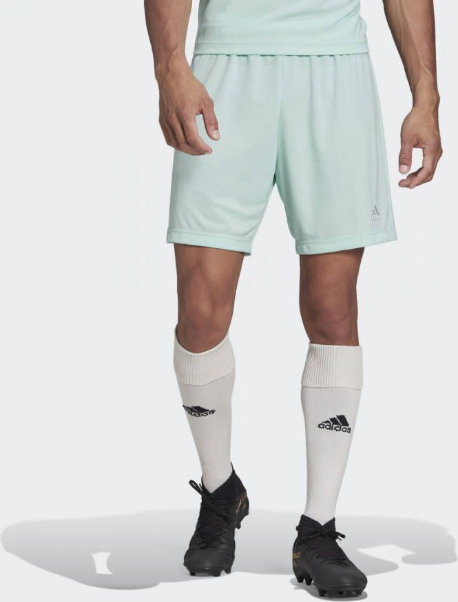 adidas Entrada 22 Short