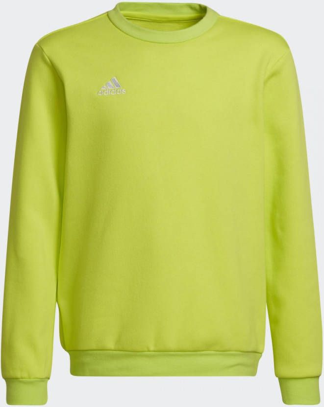 Adidas Entrada 22 Basisschool Sweatshirts