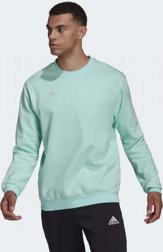 Adidas Entrada 22 Sweatshirt Clear Mint Heren