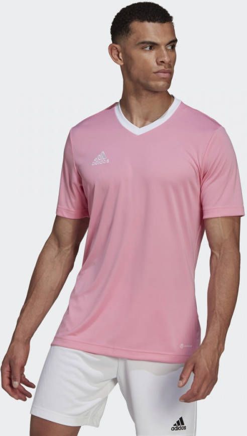 adidas Entrada 22 Voetbalshirt Roze Wit