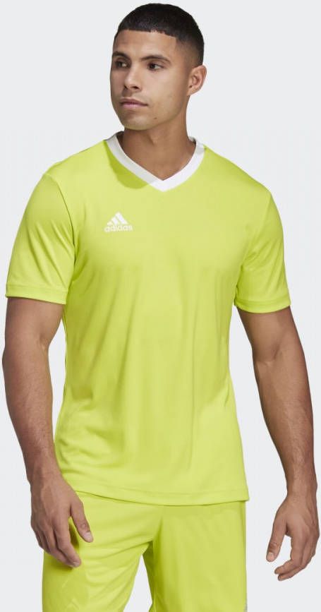adidas Entrada 22 Voetbalshirt Geel Wit