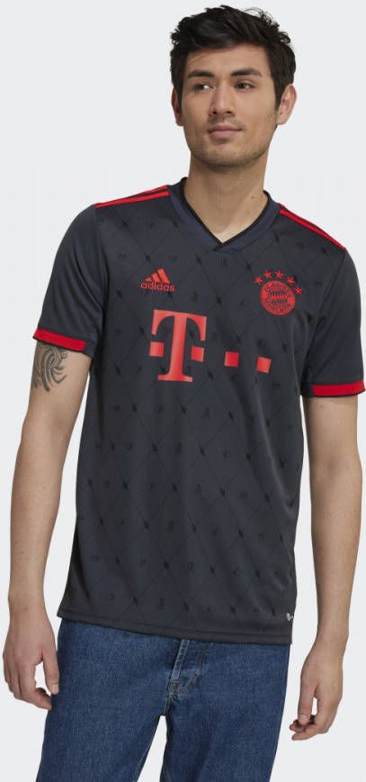 adidas FC Bayern MÃ¼nchen 22/23 Derde Shirt