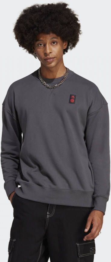 adidas FC Bayern MÃ¼nchen Lifestyler Sweatshirt