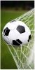 Merkloos Young Collection Voetbal Strandlaken 100% Katoen 75x150 Cm Multi online kopen