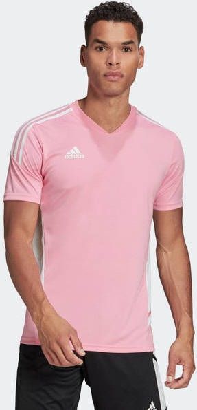 Adidas Condivo 22 Heren Jerseys/Replicas