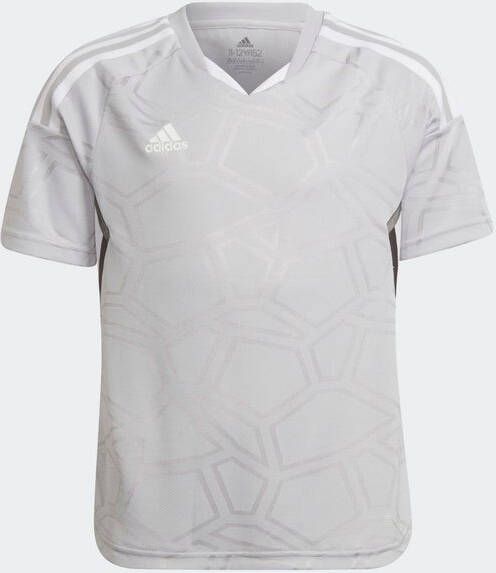 Adidas Condivo 22 Match Day Basisschool Jerseys/Replicas