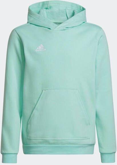 Adidas Entrada 22 Sweat Basisschool Hoodies