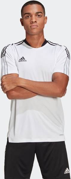 Adidas Celtic FC Trainingsshirt Heren White Heren