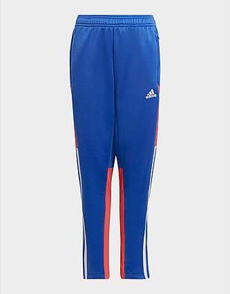 Adidas Condivo 22 Predator Broek Hi Res Blue