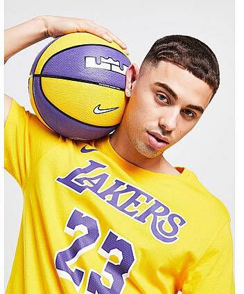 Nike Lebron James Playground 8P 2.0 Basketball Purple Heren