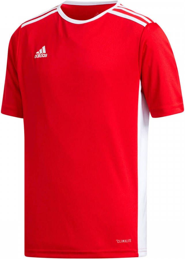 Adidas Cf1050 Entrada 18 Jsyy T Shirt , Rood, Heren online kopen