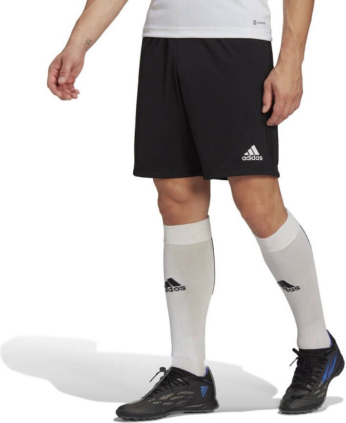 Adidas Entrada 22 Training Heren Korte Broeken