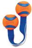 Chuckit Ultra Duo Tug Medium 6 cm online kopen