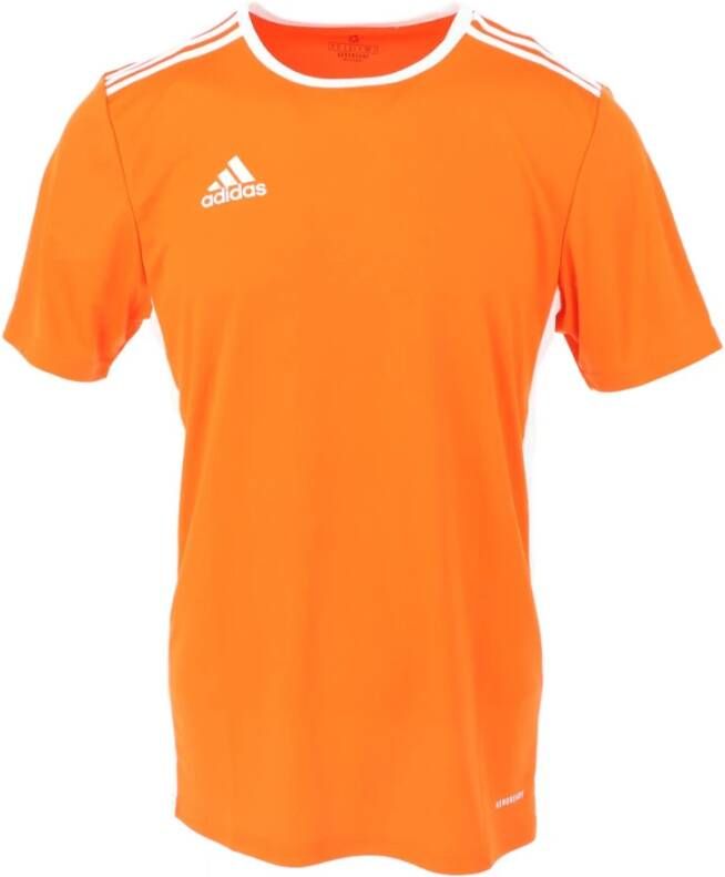 Adidas Performance sport T shirt Entrada oranje