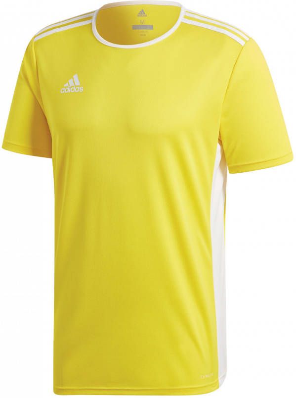 Adidas T shirt Korte Mouw Entrada 18 Jersey