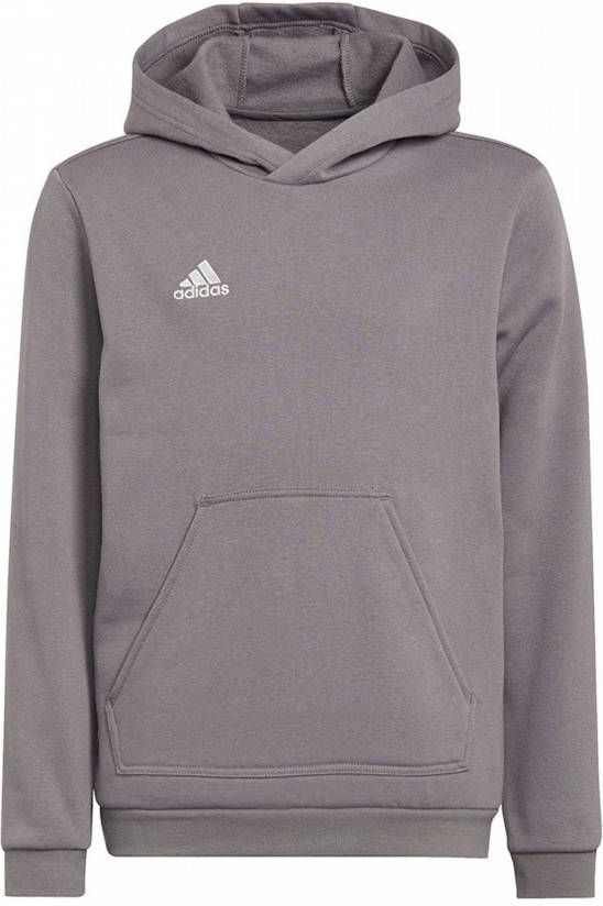 Adidas Kids adidas Entrada 22 Sweat Hoodie Kids Grijs Wit