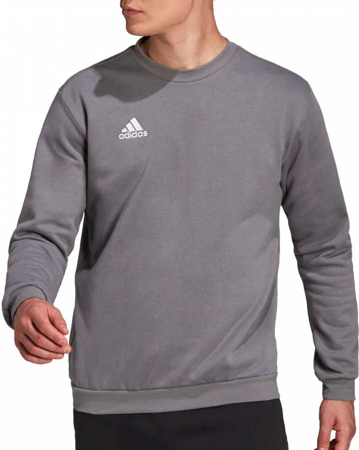 Adidas Entrada 22 Sweatshirt Team Grey Four Heren