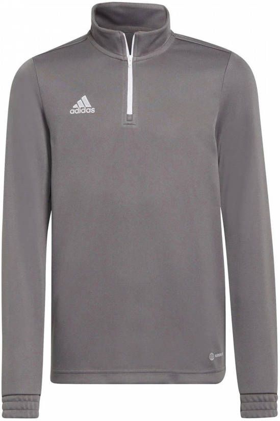 Adidas Kids adidas Entrada 22 Trainingstrui Kids Grijs Wit