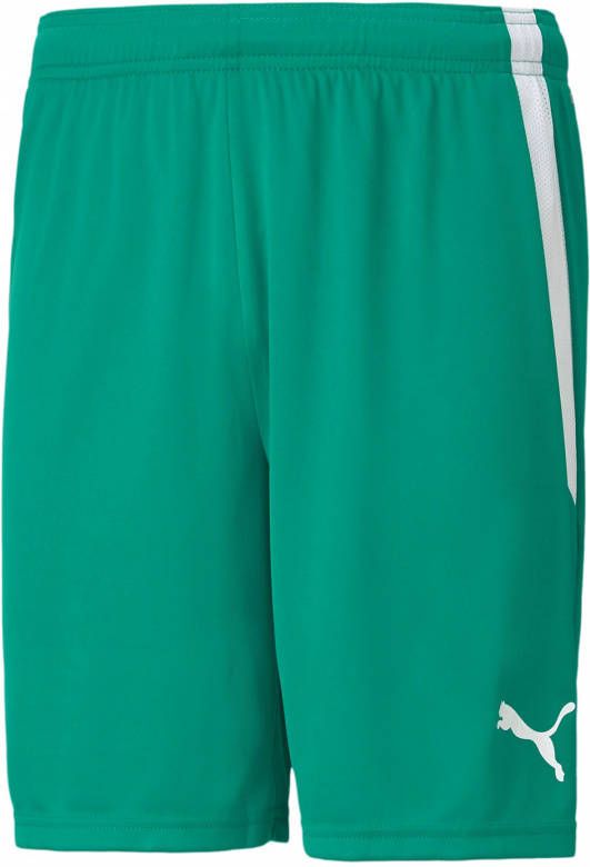 Puma teamLIGA Short Heren