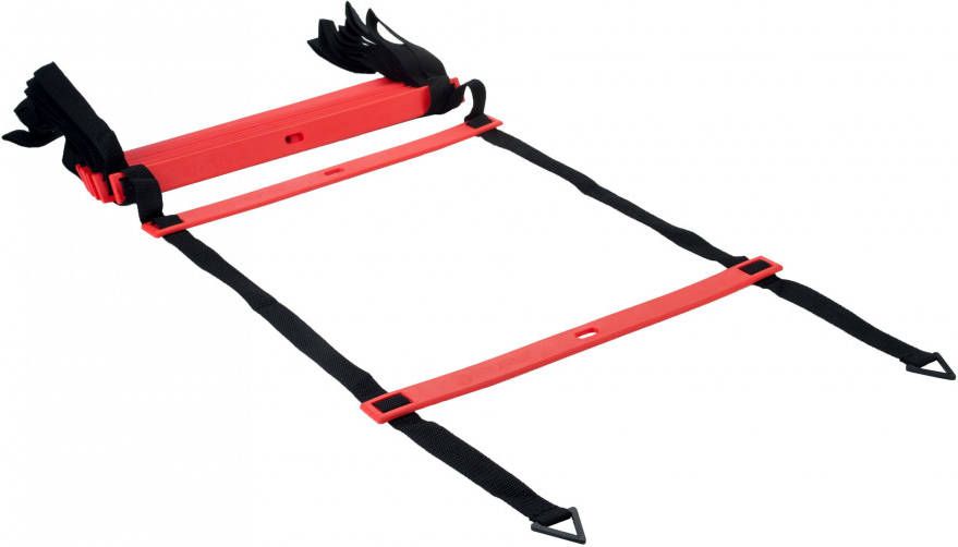 Pure2Improve Behendigheidsladder Pro 450 cm P2I200360