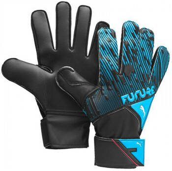 Puma Handschoenen