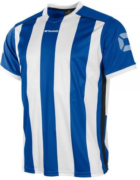 Stanno Brighton Voetbalshirt