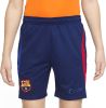 Nike Kids FC Barcelona Strike Nike Dri FIT voetbalshorts voor kids Blauw online kopen