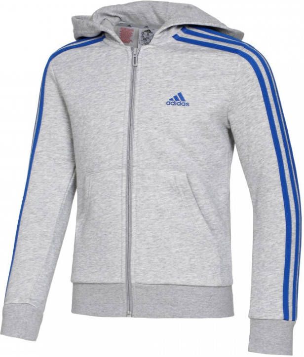 adidas Hoodie Essentials 3 Stripes Grijs/Blauw Kinderen