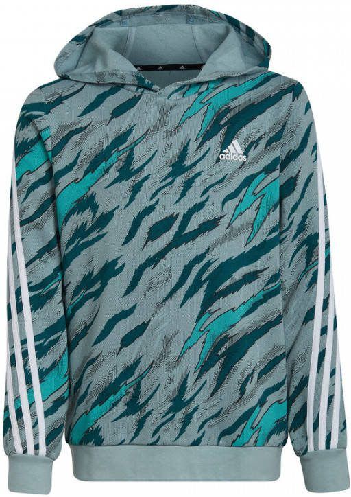 adidas Hoodie Future Icons 3 Stripes Graphic Grijs/Groen/Zwart Kinderen