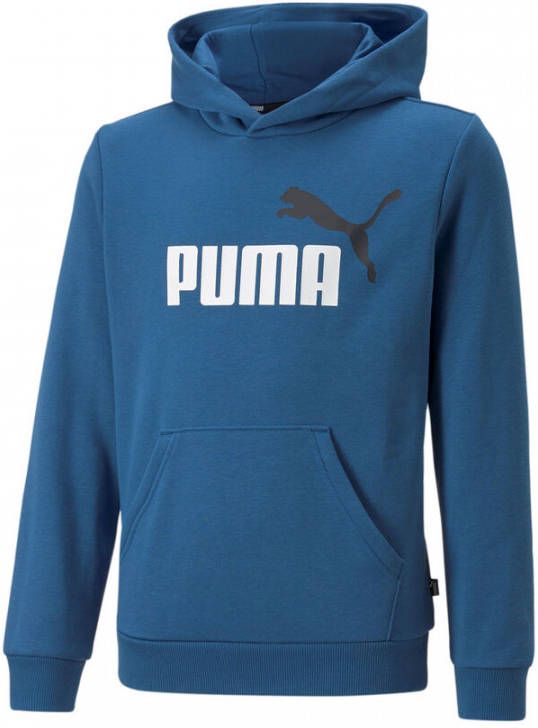 Puma Essential + 3 Col Big Logo Sweater Met Capuchon Kinderen