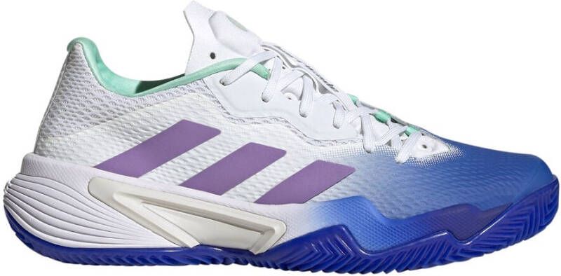 Dames Adidas Tennisschoenen kopen? Vergelijk op Regiosportplaza.nl