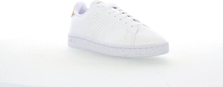 adidas Advantage Sustainable Schoenen
