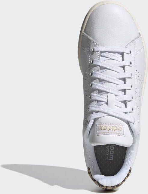 Adidas Advantage Sneakers Leopard , Wit, Dames