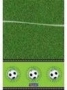 Folat Voetbal Tafelkleed 130x180 Cm