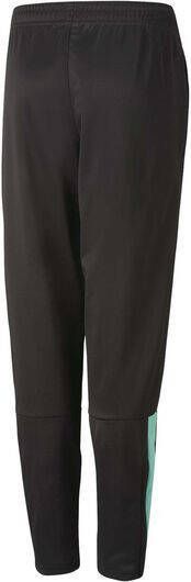 Puma Teamliga Training Pants Junior
