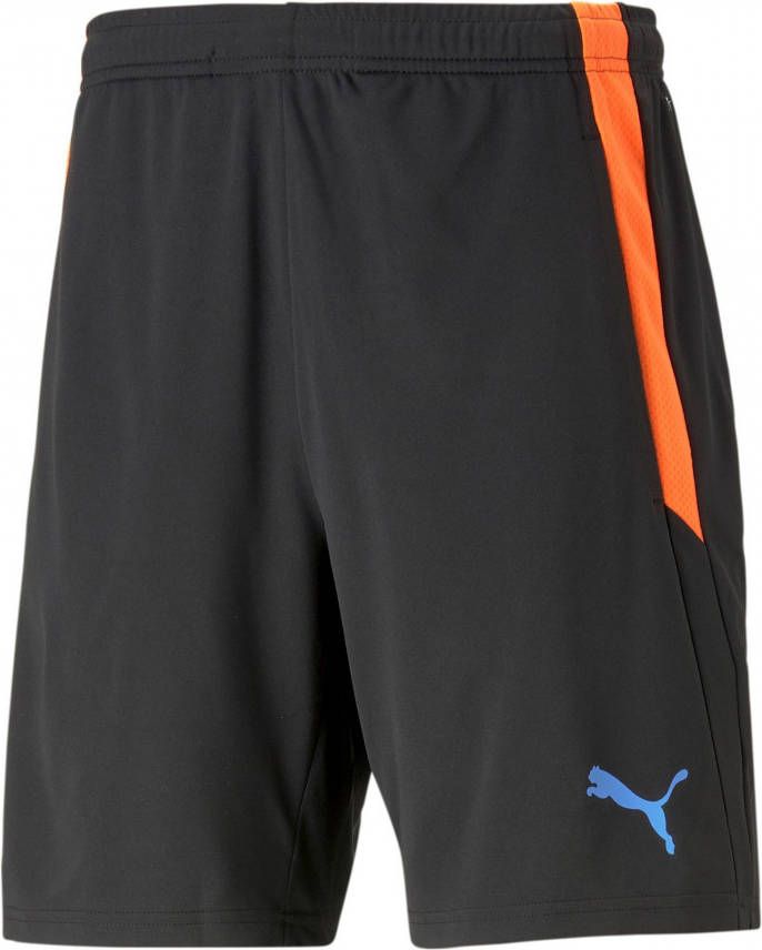 Puma teamliga training shorts 2