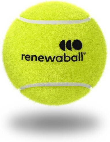 RENEWABALL tennisballen koker 4st