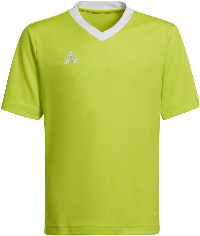 Adidas Kids adidas Entrada 22 Voetbalshirt Kids Geel Wit