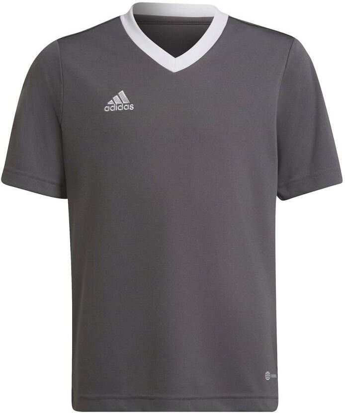 Adidas Kids adidas Entrada 22 Voetbalshirt Kids Donkergrijs Wit