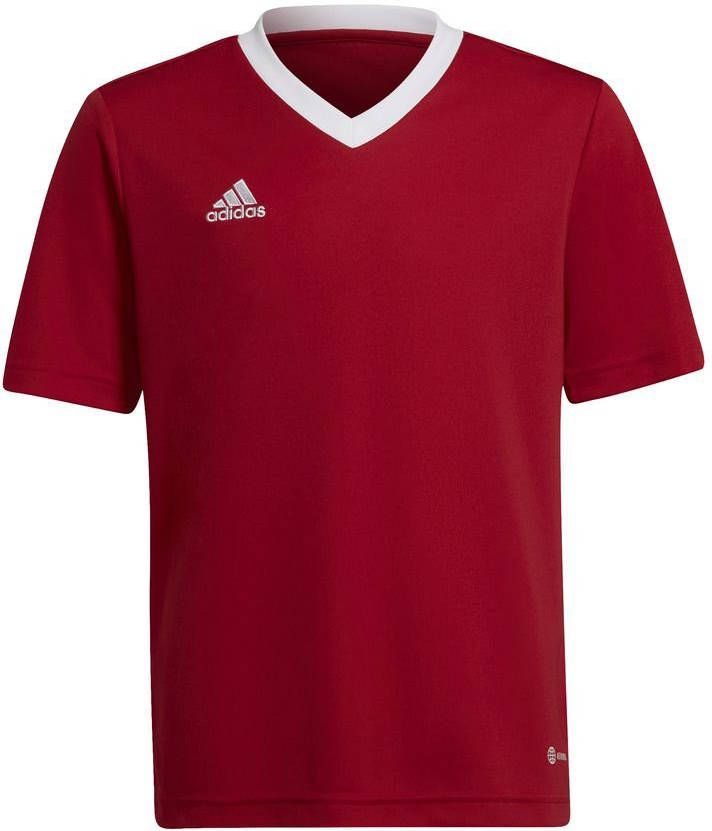 Adidas Kids adidas Entrada 22 Voetbalshirt Kids Rood Wit