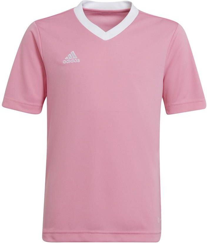 Adidas Kids adidas Entrada 22 Voetbalshirt Kids Roze Wit
