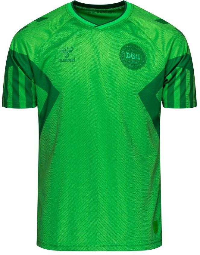 Hummel Denemarken Keepersshirt WK 2022 Kinderen