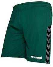 Hummel Shorts Authentic Poly Groen/Wit