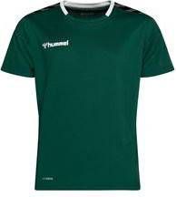 Hummel Voetbalshirt Authentic Poly Groen/Wit