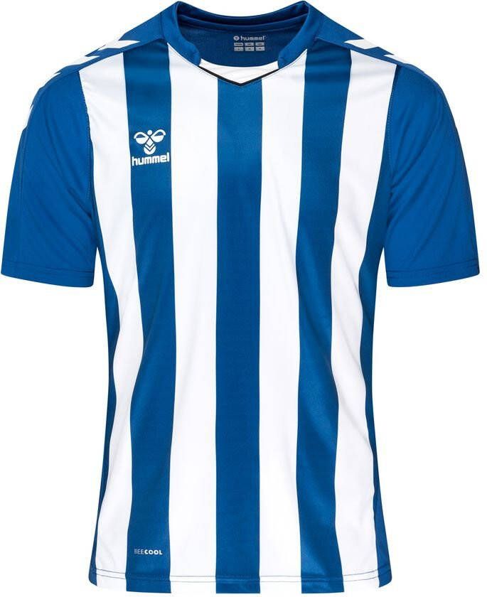 Hummel Voetbalshirt Core Striped Blauw/Wit Kinderen