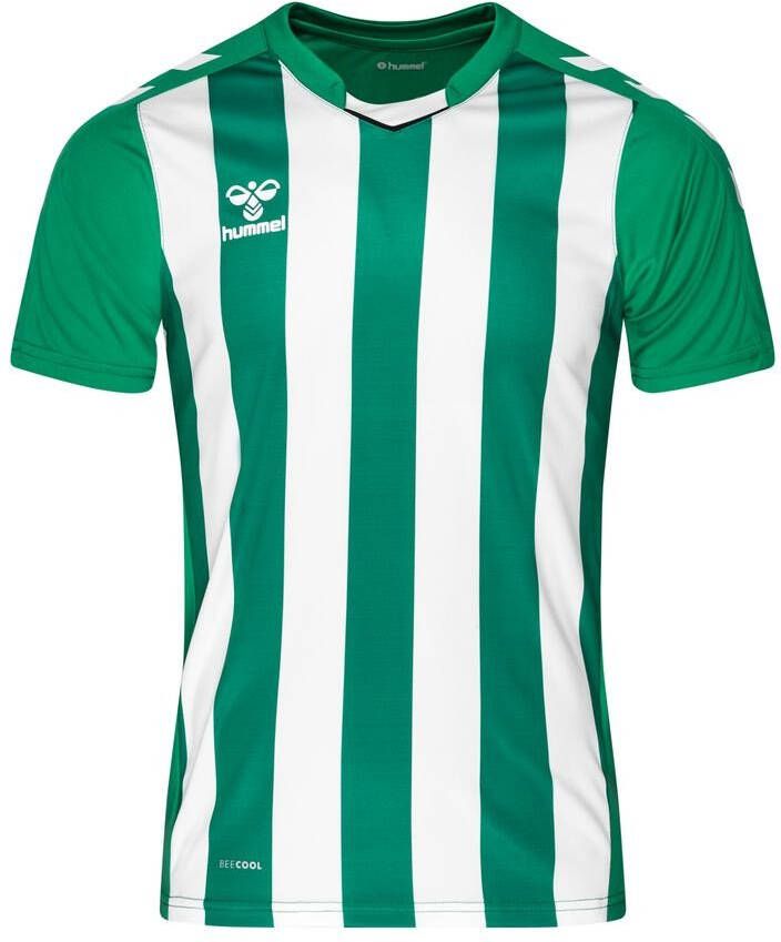 Hummel Voetbalshirt Core Striped Groen/Wit Kinderen