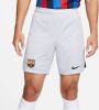 Nike FC Barcelona 2022/23 Stadium Derde Dri FIT voetbalshorts voor heren Grijs online kopen