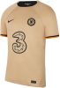 Nike Chelsea FC 2022/23 Stadium Derde Dri FIT voetbalshirt voor heren Bruin online kopen